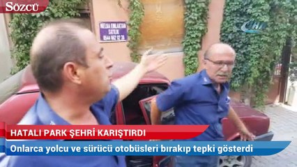 Hatalı park şehri karıştırdı