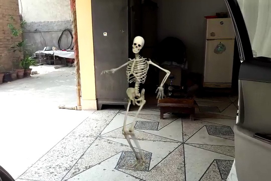 KiKi Challenge Skeleton Dance-Fx Guru[U.P]