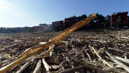 Çanakkale'nin yanan ciğerleri havadan görüntülendi