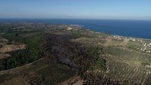 Yangının Boyutu Gün Aydınlanınca Ortaya Çıktı