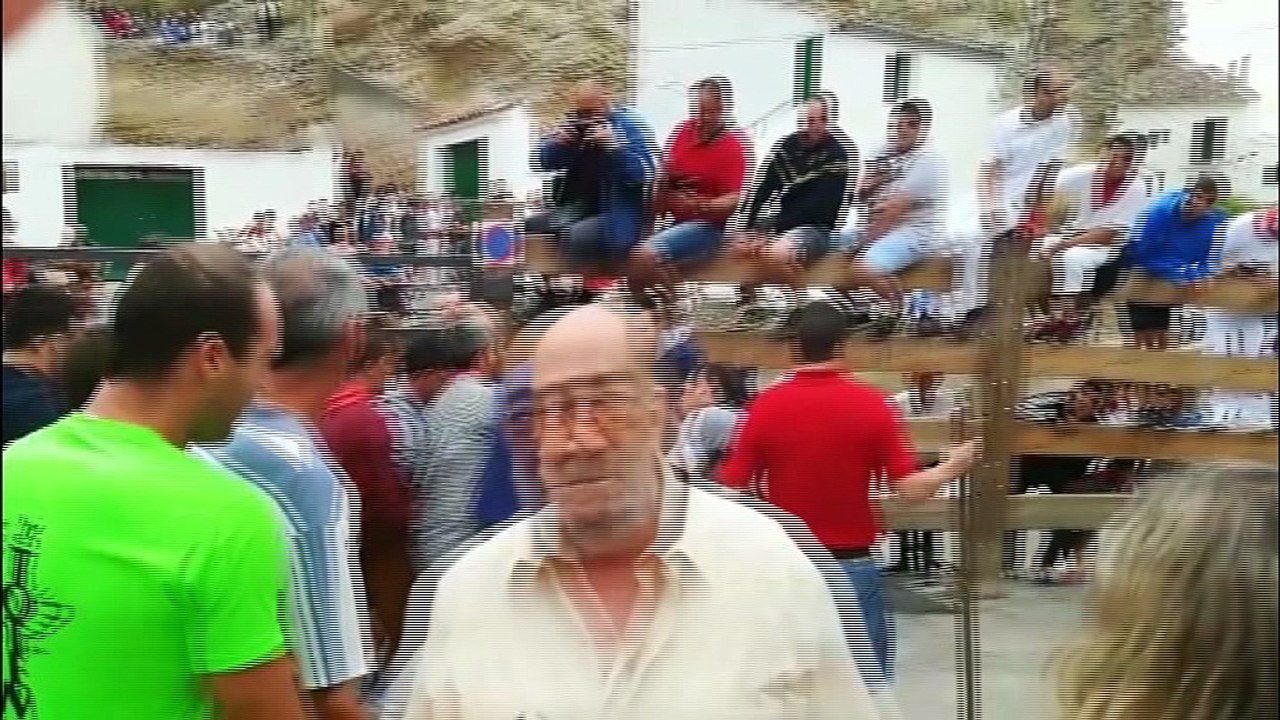 Tercer encierro del Pilón de Falces con una vaca rezagada que han tenido que bajar los propios mozos