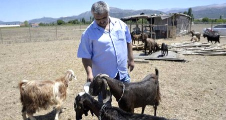 Isparta'nın Şampiyon Takımı, Futbolcularını Satıp Keçi Aldı