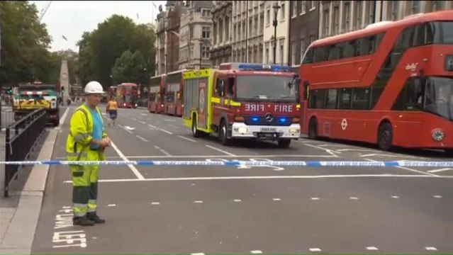 Detenido un hombre tras estrellar su coche contra las barreras del Parlamento británico