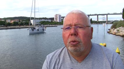 Les requins "peau bleu" aiment les eaux chaudes du Golfe de Fos