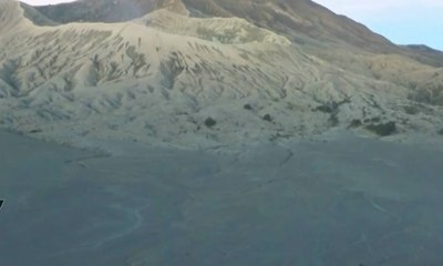 Dedaunan Diselimuti Es, Wisatawan Nikmati Momen Langka Bromo