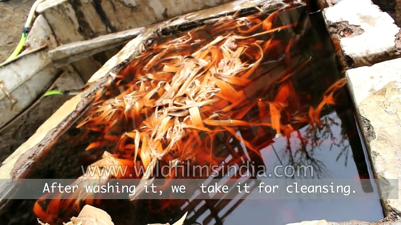 How Hand-made paper is made in Bhutan