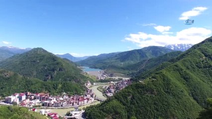 Sığır Çiceği Hastalığı Büyükbaş Hayvanları Vurdu: 54 Kurbanlık Telef Edildi