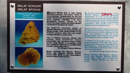 Muğla Marmaris'in Değerleri Heykellerle Hayat Buldu Hd