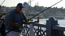 İstanbul’un dört bir yanı oltacı ama balık azalıyor
