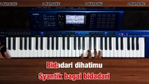 LAGI SYANTIK (Siti Badriah) - Versi koplo karaoke tanpa vokal