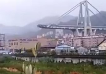 Deaths Reported as Motorway Bridge Collapses in Genoa