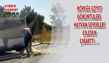 (14 Ağustos 2018) KÖPEĞE EZİYET GÖRÜNTÜLERİ  HAYVAN SEVERLERİ ÇİLEDEN ÇIKARTTI…
