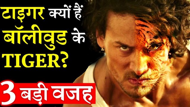 3 BIG REASONS- Why Tiger Shroff Emerges As The Highest Gainer Amongst The Youngsters
