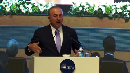 Çavuşoğlu: 'Yurtdışındaki vatandaşlarımızın büyük Türkiye'den beklentileri var' - ANKARA