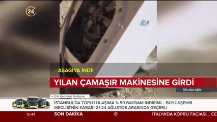Yılan çamaşır makinesine girdi