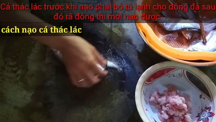 Cách nạo cá thát lát vô cùng dễ