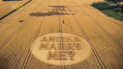 Man Proposes Via Crop Circle, Boldly Going Where No Man Has Gone Before