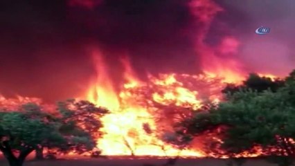 Çanakkale’de Orman Yangını Kontrol Altında