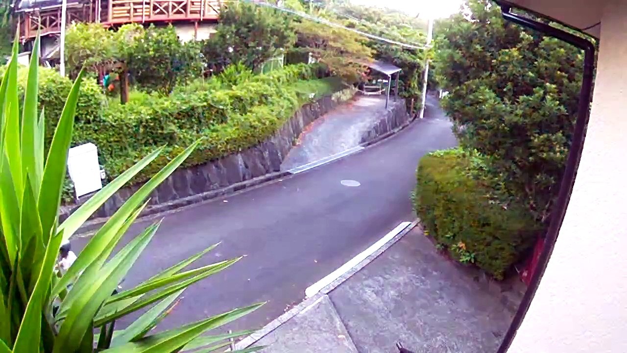 EDR August #12 2018 unfamiliar cars