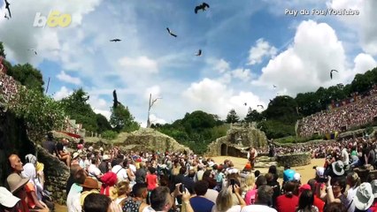 Intelligent Birds are Picking up Trash at This Theme Park