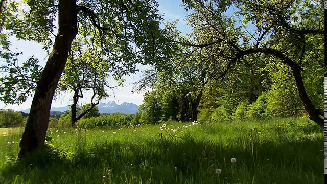 Folge 2973: Radikaler Schritt | Sturm der Liebe