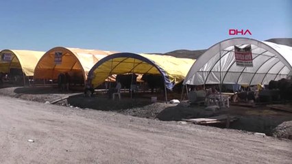 Çankırı'da 1 Tonluk 'şampiyon' Adlı Boğa Alıcısını Bekliyor Hd