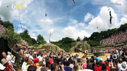 Intelligent birds are picking up trash at this theme park