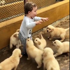 puppies really loves kids.