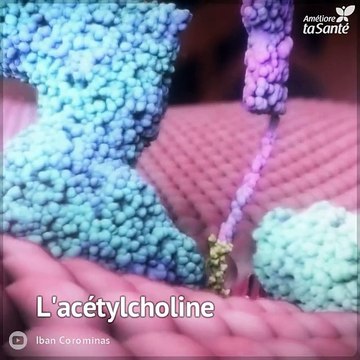 La maladie d'Alzheimer emporte peu à peu nos vies et nos souvenirs.