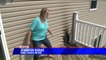 Woman Says Her Tomato Plant Spontaneously Caught Fire