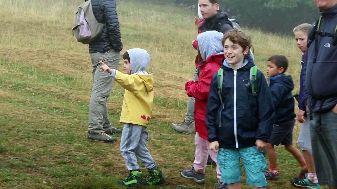 Les moutons envahissent Lans-en-Vercors