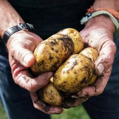 Un Jour, un jardin avec Jean-Claude