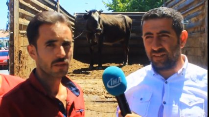 10 Bin TL'ye Sattığı Kurbanlığın Parasını Devlete Bağışladı