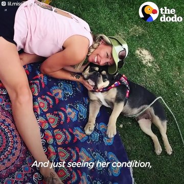 Mother Dog Found Tied Up In Park Finally Has A Real Home | The Dodo + Clear The Shelters