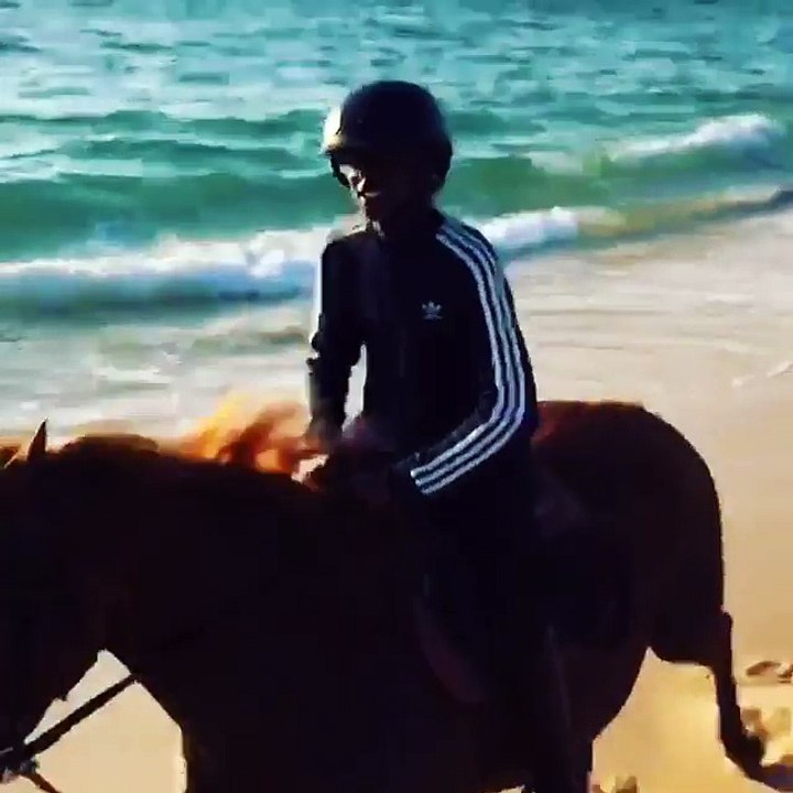 Madonnna gasta milhares de euros em cavalos portugueses!