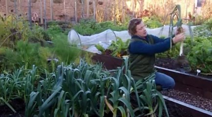 Jamie at Home S02 - Ep02 Leek HD Watch