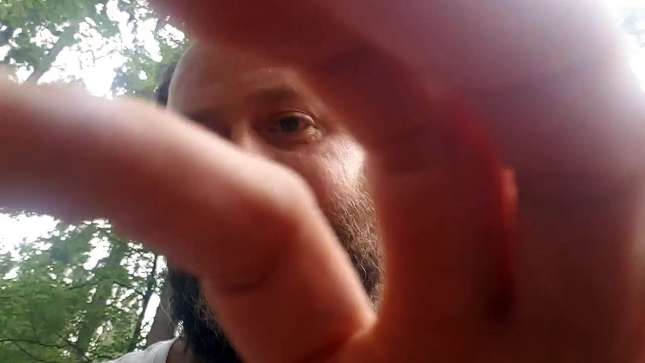 Maus in Freiheit entlassen