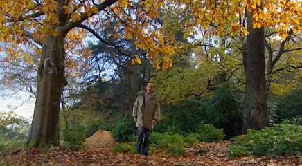 Grand Designs S04 - Ep01 Waterloo The Violin Factory HD Watch