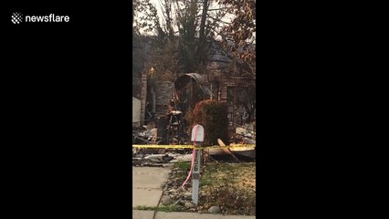 Deer walks through rubble of home destroyed in Carr Fire