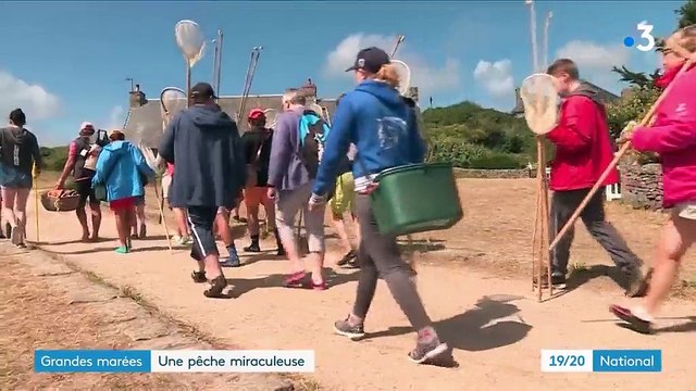 Grandes marées : la pêche de homards