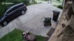Nest Cam captures woman’s scary encounter with a raccoon