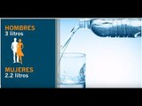 ¿Cuánta agua debes tomar al día? | Vida y Salud: Dra Aliza