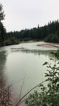 Jet Boat Drenches Bystanders at Carlan Cup Race
