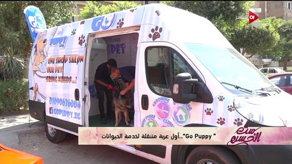 مشروع شبابى لتقديم أحدث القصات وتقليم الأظافر وتدليك الحيوانات بمصر