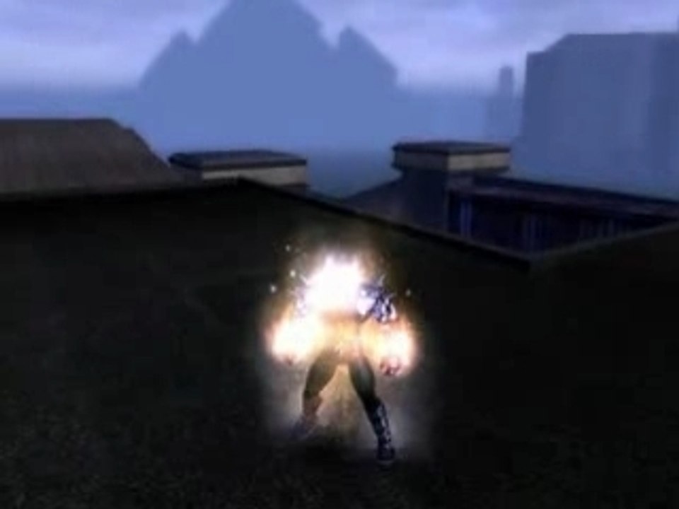 COH_screen_memory