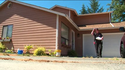 Reward Reaches $20,000 in Washington State Cat Mutilations