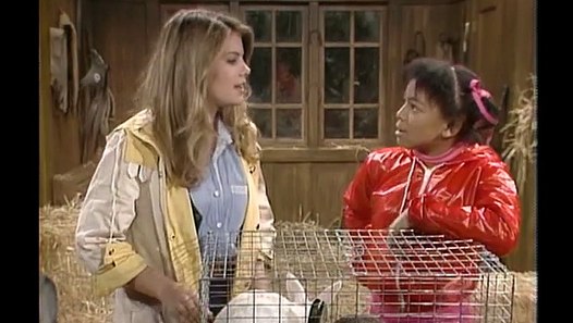 The Facts of Life - S01E09 - Flash Flood - Video Dailymotion