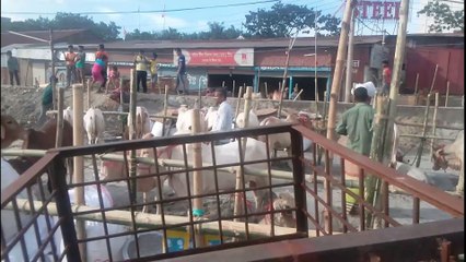 এইবার সবাই কুরবানি দিবে বিশাল গরু হাট  শ্মশান ঘাট  cow hut qurbani