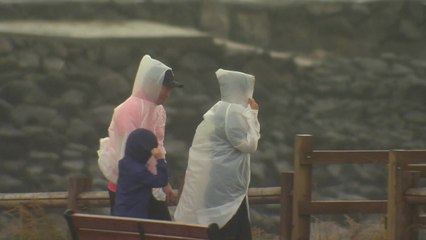 [날씨] 폭염 속 곳곳 소나기...남부·제주 비 / YTN