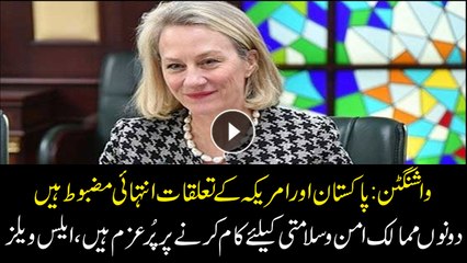 US eager to work with Pakistan for South Asia peace, stability: Alice Wells